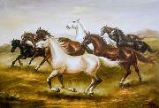unknow artist Horses 04 USA oil painting artist
